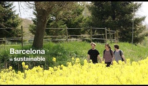 Barcelona Balances Tourism and Sustainability Amid Overtourism Concerns